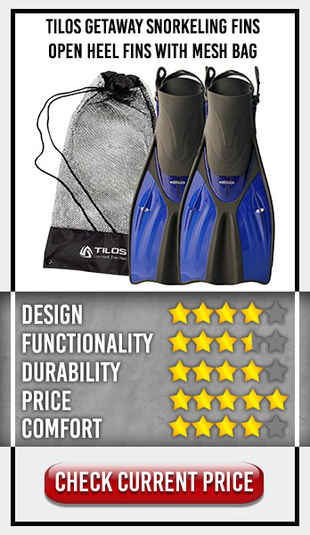 The 5 Best Snorkelling Fins for Big Feet 2020 - Plus 2 Clothing